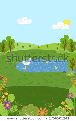 Foto d'archivio: Summer Scenery Pond With Swans Green Eco Clean