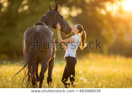 Foto stock: Woman And Horse On Nature Park Or Farm Forest