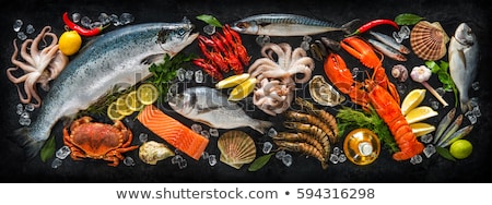 [[stock_photo]]: Seafood Arrangement
