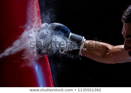 Stock photo: Fighter In A Training Moment