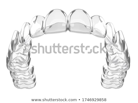 Stock photo: 3d Rendered Illustration - Lower Teeth