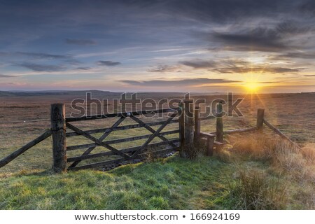 Foto stock: Old Fence With Lens Flares