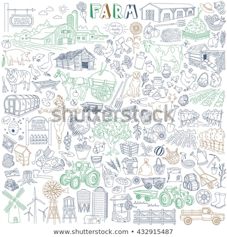 Foto d'archivio: Farm Car And Barns Of Farm Vector Illustration