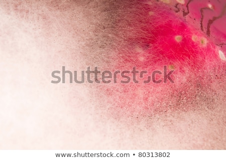 [[stock_photo]]: Soup Damaged By Mold Extreme Closeup Of Texture