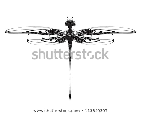 Stock fotó: Design With Mechanical Dragonflies