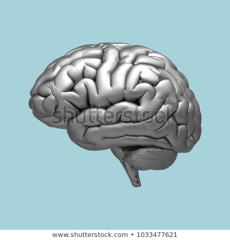 Stockfoto: 3d Rendered Illustration - Metal Brain