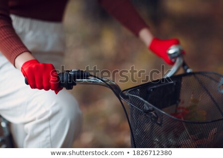 Stok fotoğraf: Young Woman Riding Red Vintage Bike On Fall Season