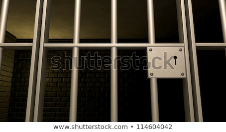 Stock fotó: Closeup Of A Jail Door With Locking Mechanism