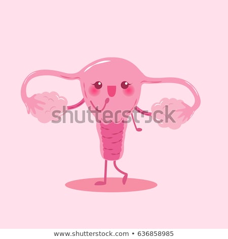 Stok fotoğraf: Female Uterus And Ovaries