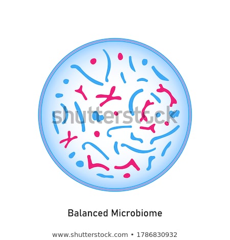 Foto d'archivio: Probiotics Lactic Acid Bacterium Bifidobacterium Lactobacillus Streptococcus Thermophilus Lacto