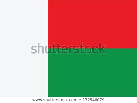 Stockfoto: Madagascar Flag Vector Illustration On A White Background