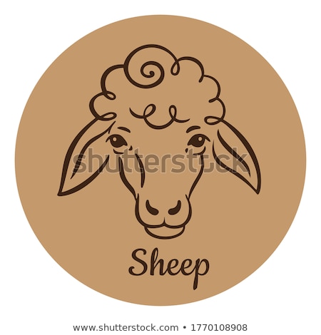 Foto stock: Sheep Sketch Icon