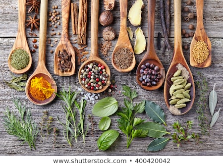 Spices - Anise Cinnamon Cloves And Herbs In Wooden Bowls On A Wood White Background Stok fotoğraf © Dionisvera