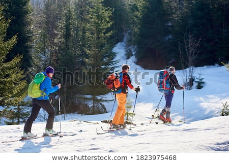 [[stock_photo]]: Skier Trekking Through Snow