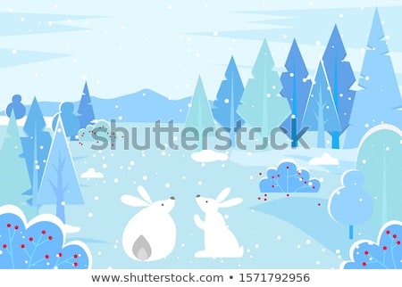 Foto stock: Hares Surrounded By Snowy Trees And Bushes Forest