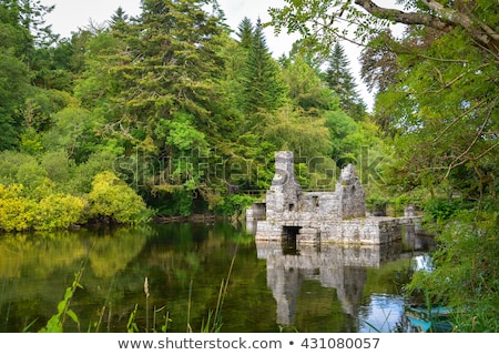 Stock photo: Cong Abbey Ireland