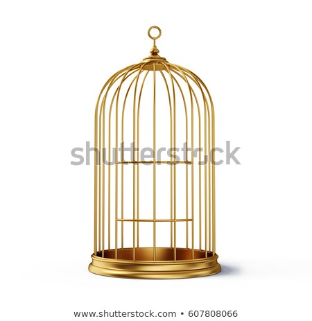 Stock photo: Closed Decorative Bird Cage