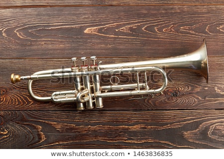 [[stock_photo]]: Trumpet On Wood