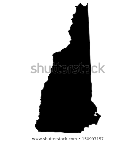 Stok fotoğraf: State Of New Hampshire Icons