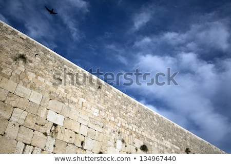 Stock photo: Bird Above The Wailing Wall