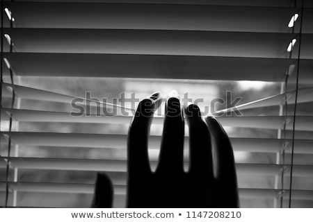 Foto stock: Woman Peeking Through The Jalousie