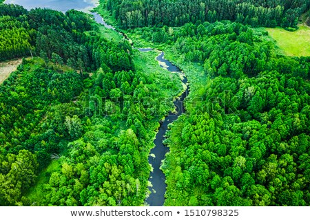 Stock fotó: Aerial View Of Lake And Swamp