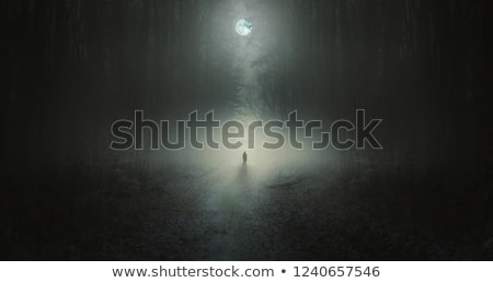 Stockfoto: Strange Light In The Forest