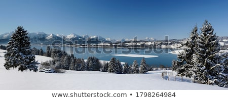 Stock fotó: Frozen Fields In Wintertime In Bavaria