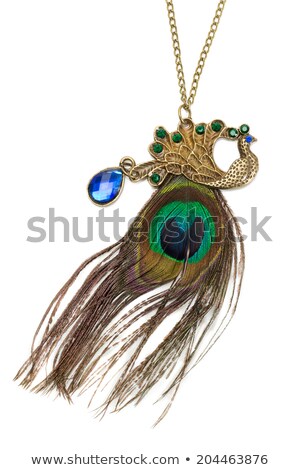 Сток-фото: Necklace On A Chain Blue Stone And Peacock Feather