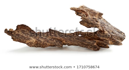 ストックフォト: Old Bark Detail