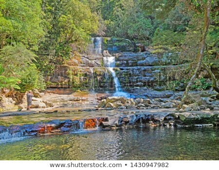 Stock fotó: Liffey Falls In The Midlands Region Tasmania