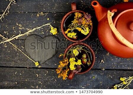 Zdjęcia stock: Cup Of Herbal Tea - Tutsan Sagebrush Oregano Helichrysum Lavender