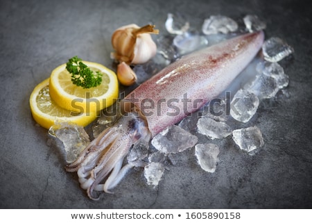 Stok fotoğraf: Squid