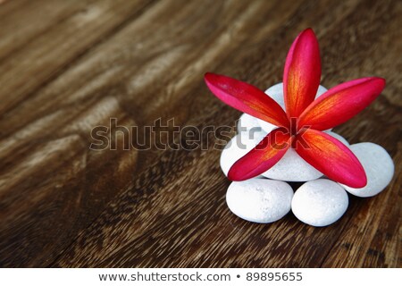 Foto stock: Red Frangipani Flowers In The Spa Bath