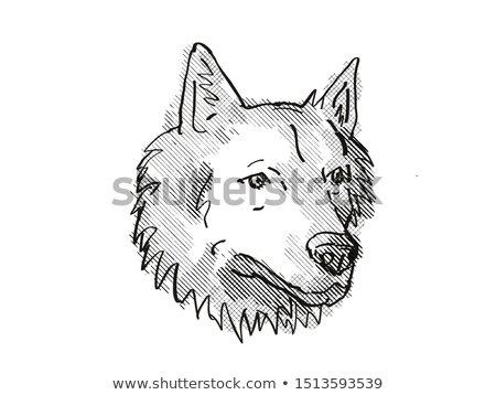 Foto stock: Goberian Dog Breed Cartoon Retro Drawing