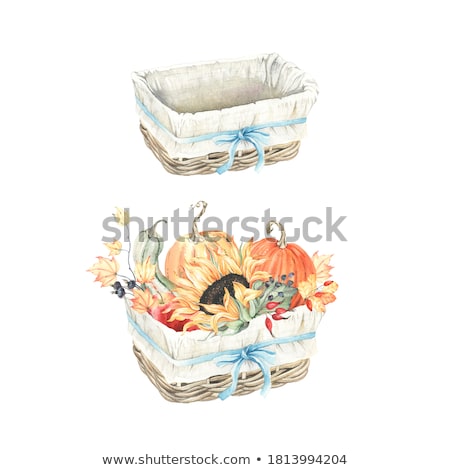 [[stock_photo]]: Wicker Basket With Orange Roses