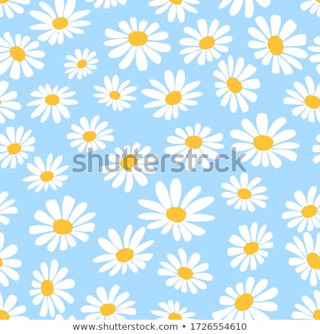 Foto stock: Yellow Daisy