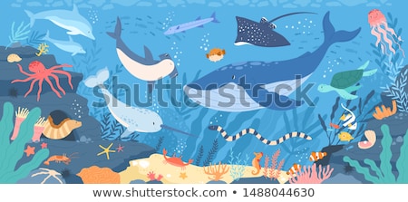 Stock photo: Underwater Animals