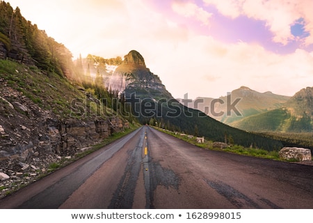 ストックフォト: Road Going In To The Fog