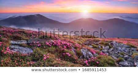 Stock fotó: Beautiful Landscape View