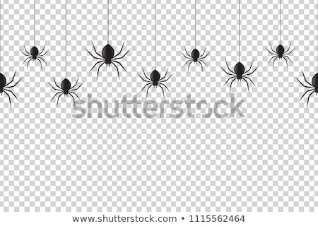 Stock fotó: Halloween Spider