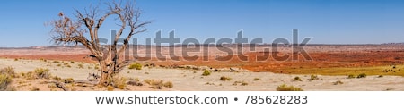 ストックフォト: Desert Landscape In The Death Valley Without People