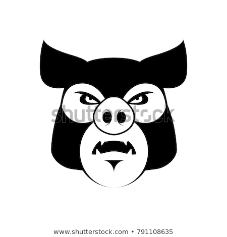 Stock foto: Angry Pig Evil Boar Grumpy Hog Aggressive Piggy