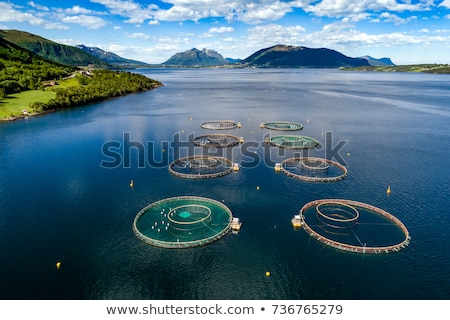 Foto stock: Farm Salmon Fishing Aerial Fpv Drone Photography