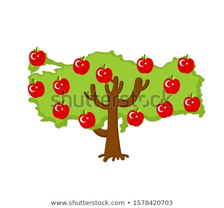 Stok fotoğraf: Patriotic Apple Tree Turkey Map Apples Turkish Flag National S