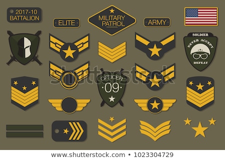 Foto d'archivio: Military Emblem Eagle