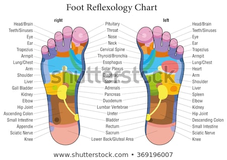 Foto stock: Massage Therapy Foot Treatment By Masseuse Vector