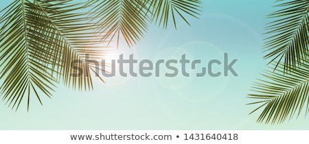 Stock photo: Palm Trees Over Blue Sky