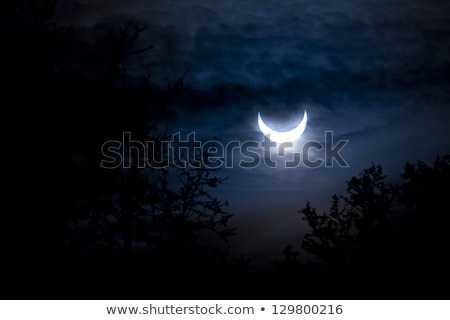 Stock photo: Solar Eclipse January 4th 2011