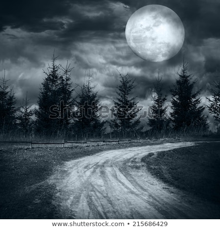 Zdjęcia stock: Magic Landscape With Empty Rural Road Under Dramatic Cloudy Sky At Full Moon Night